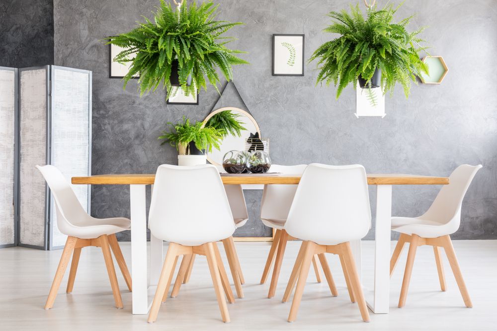 Green Living: How to Create a More Eco-Friendly Home